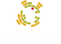 SearchSprint